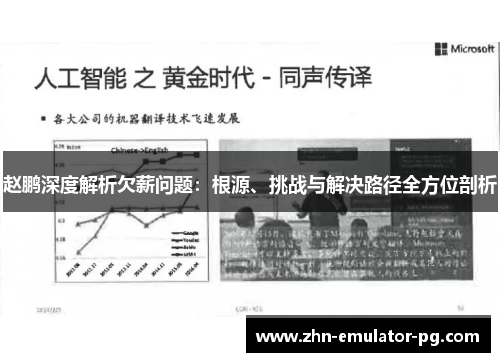 赵鹏深度解析欠薪问题：根源、挑战与解决路径全方位剖析