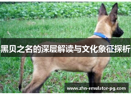 黑贝之名的深层解读与文化象征探析