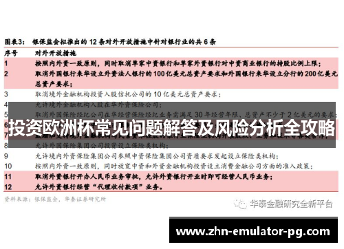 投资欧洲杯常见问题解答及风险分析全攻略