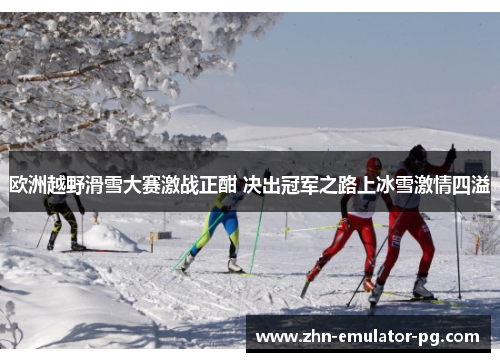 欧洲越野滑雪大赛激战正酣 决出冠军之路上冰雪激情四溢 欧洲越野滑雪大赛激战正酣 决出冠军之路上冰雪激情四溢